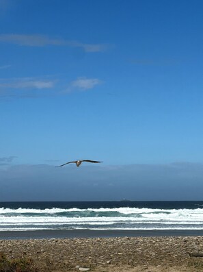 On the beach, sun-loungers - PENTY BRETON-Totally renovated/ 9p Finistère Pointe du Raz Cap Sizun (CLEDEN CAP SIZUN)