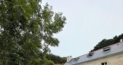 PENTY BRETON-Totally renovated/ 9p Finistère Pointe du Raz Cap Sizun