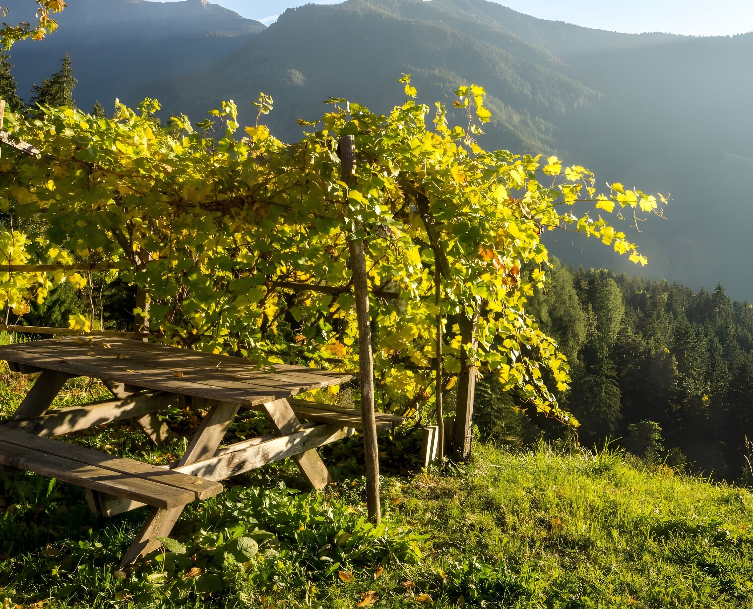 Ristorazione all'aperto