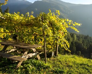 Immagine non classificata, 5 di 13, pulsante