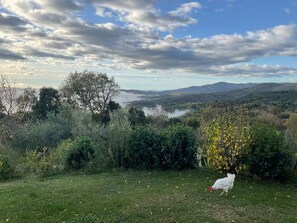 Miscellaneous - Tiny Home 'Glamping - Il Gelsomino' with Private Garden and Air Conditioning (Monteverdi Marittimo)