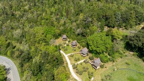 A forested area with several cabins.