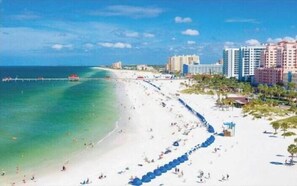 Beach - LG Family Retreat~Palm Harbor FL~Upscale~slps 16 (Palm Harbor)