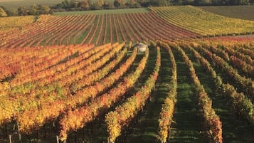 Superior Double Room, Non Smoking, Vineyard View | Terrace/patio