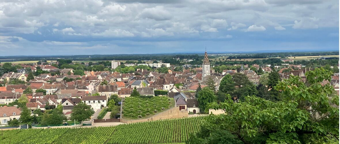 Een stad met een opvallende kerktoren, woonhuizen en een wijngaard.