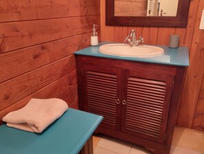 Shower, hair dryer, towels, soap - Gite de l'ormont : 3 bedrooms in vosgienne house (Saint-Jean-d'Ormont)
