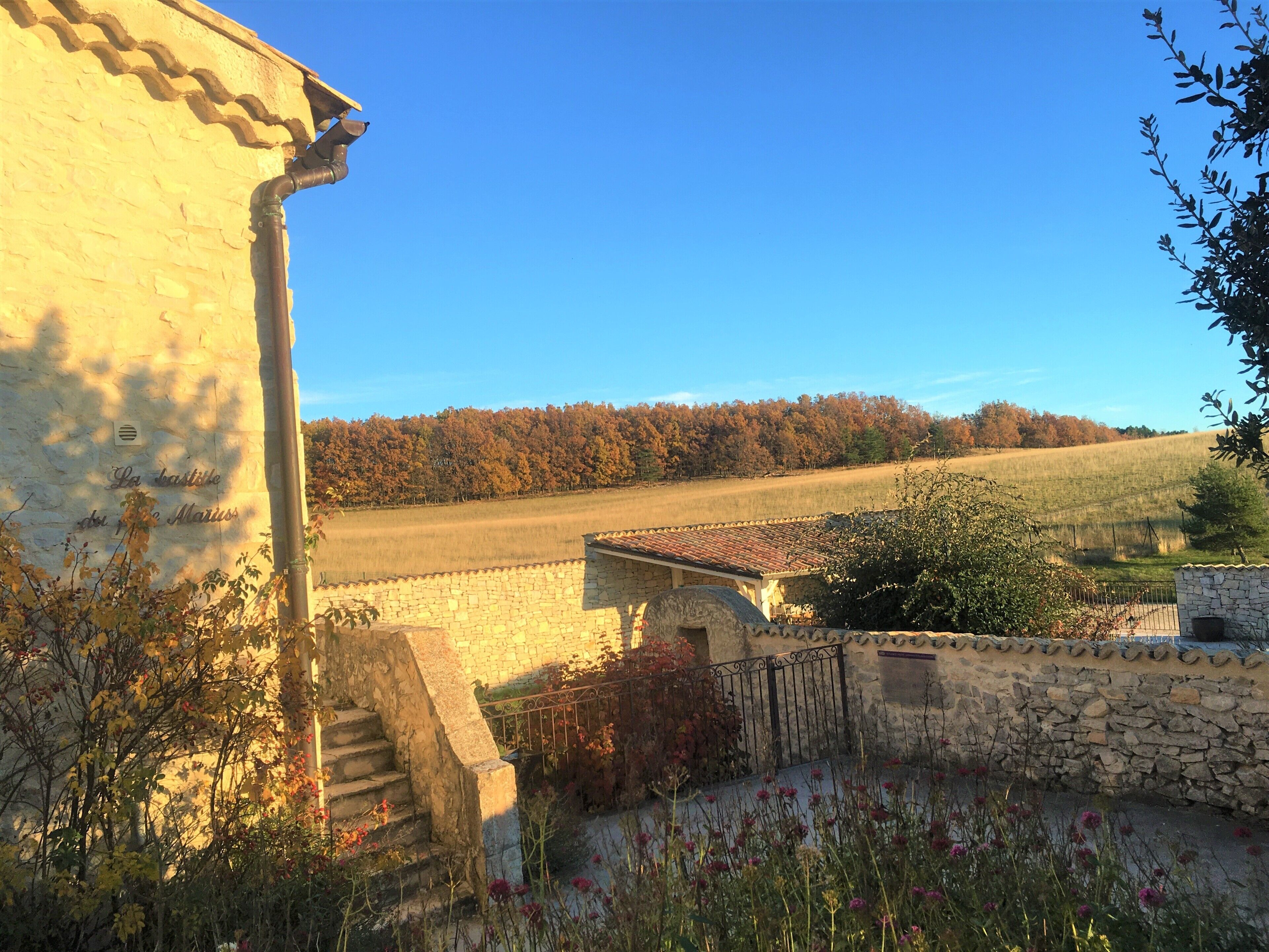 Overnatningsstedets område