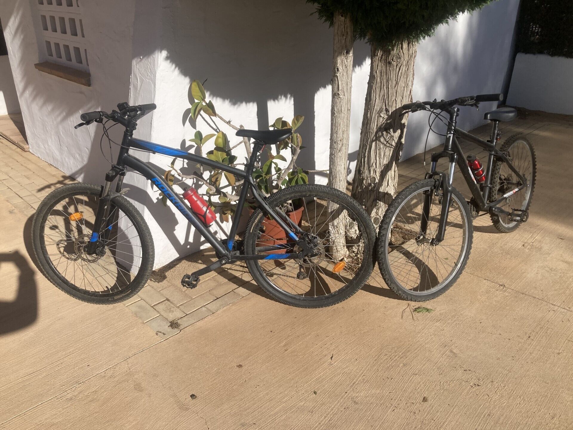 Two bicycles parked against a wall, a tree, and a building with a window.