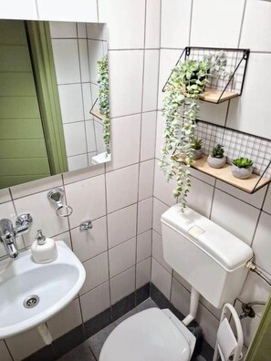 A small bathroom with a toilet, sink, mirror, and two shelves with plants. - Icarus Loft with rooftop terrace in old town (Chania)