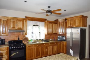 Private kitchen - Lucina's Spacious 3BR with Yard and Backup Generator - Lower Level (San Ignacio)