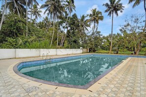 A swimming pool with a tiled edge, surrounded by a paved area and palm trees.