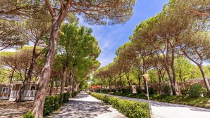 A tree-lined street with mobile homes, a gravel path, and a clear sky. - Tenuta Primero Grado Family Collection (Grado)