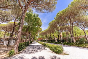 Mobile Home | View from property - Tenuta Primero Grado Family Collection (Grado)