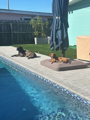 Botón de imagen sin clasificar, 4 de 12