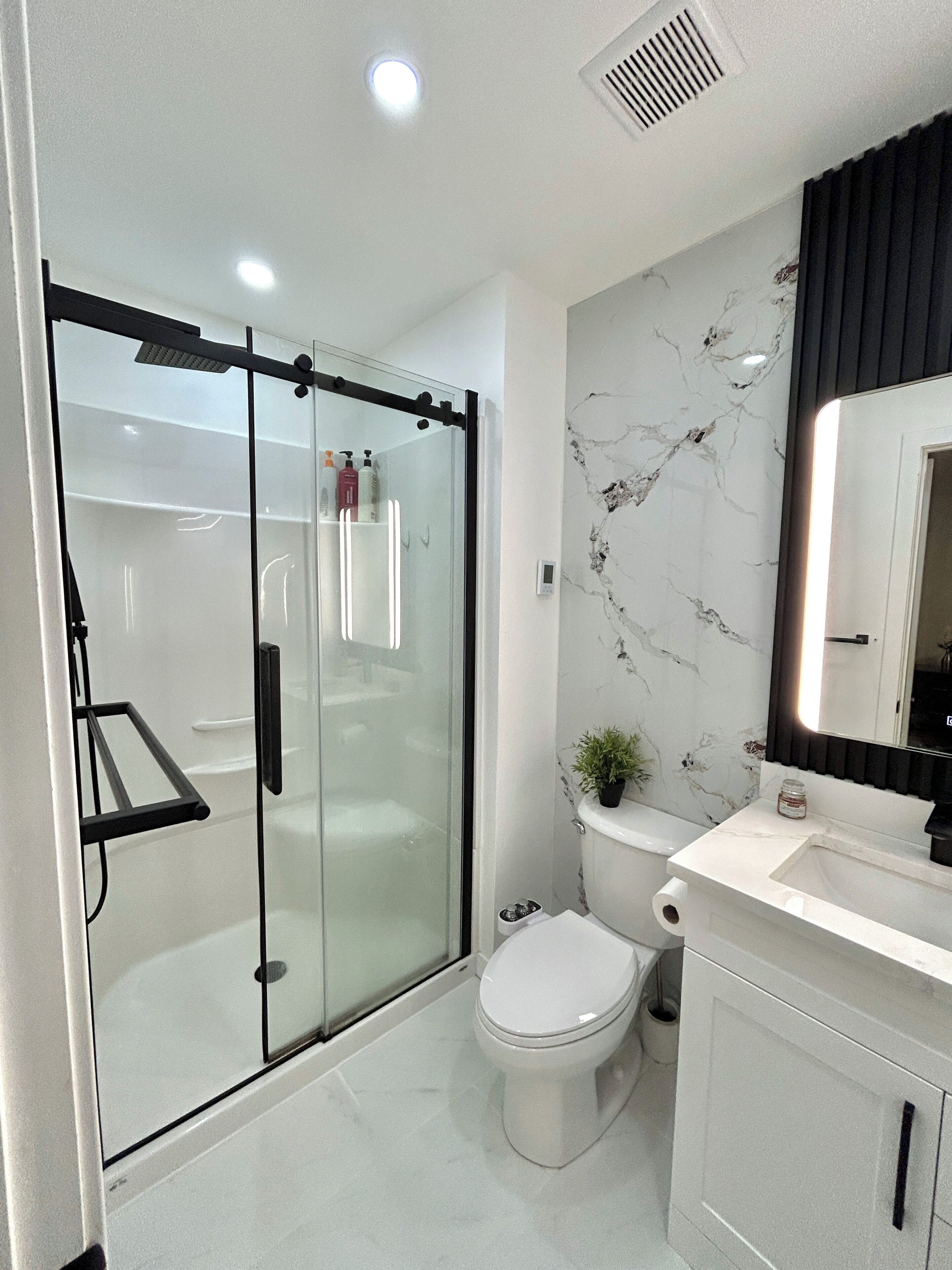 Shower, bidet, towels, soap