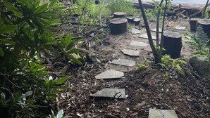 Un espace naturel en plein air, avec un sentier de pierres menant à un plan d’eau, le tout entouré d’une végétation luxuriante.