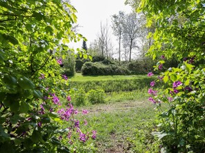 Àrea exterior de l'allotjament