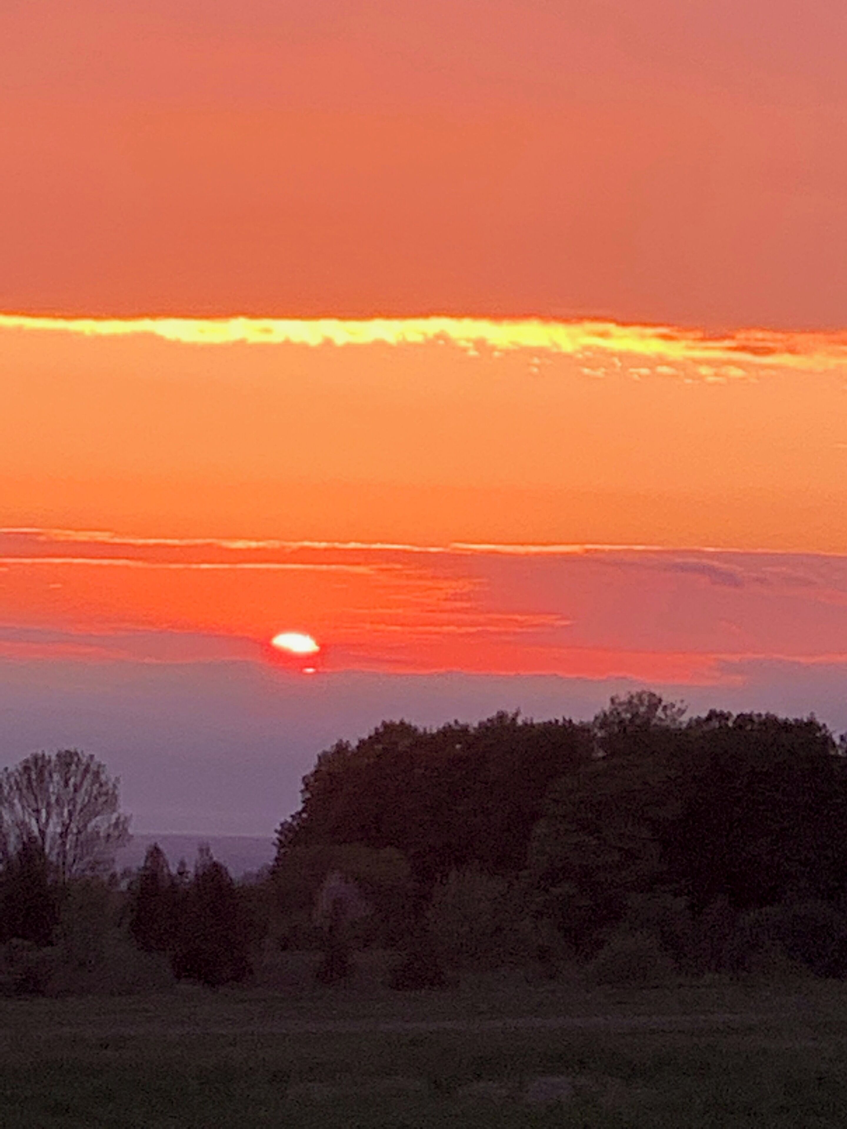 A sunset over a field with trees in the foreground.