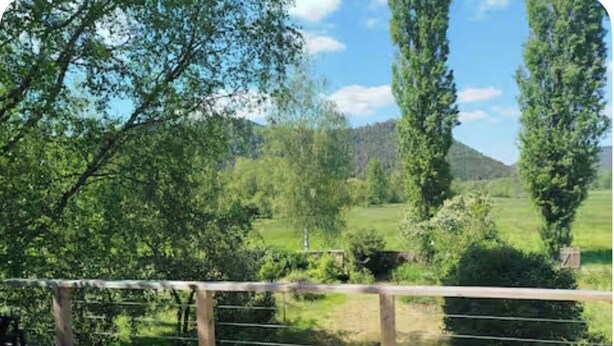 Ein Holzzaun mit Blick auf eine grüne Landschaft und Bäume.