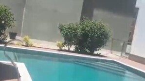 En swimmingpool med træterrasse og plantekasser.