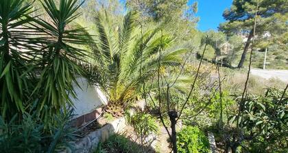 Hosted Bed and Breakfast in charming country house