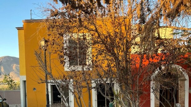 Un bâtiment à la façade jaune, une cour pavée de pierres et un arbre aux feuilles d’automne.