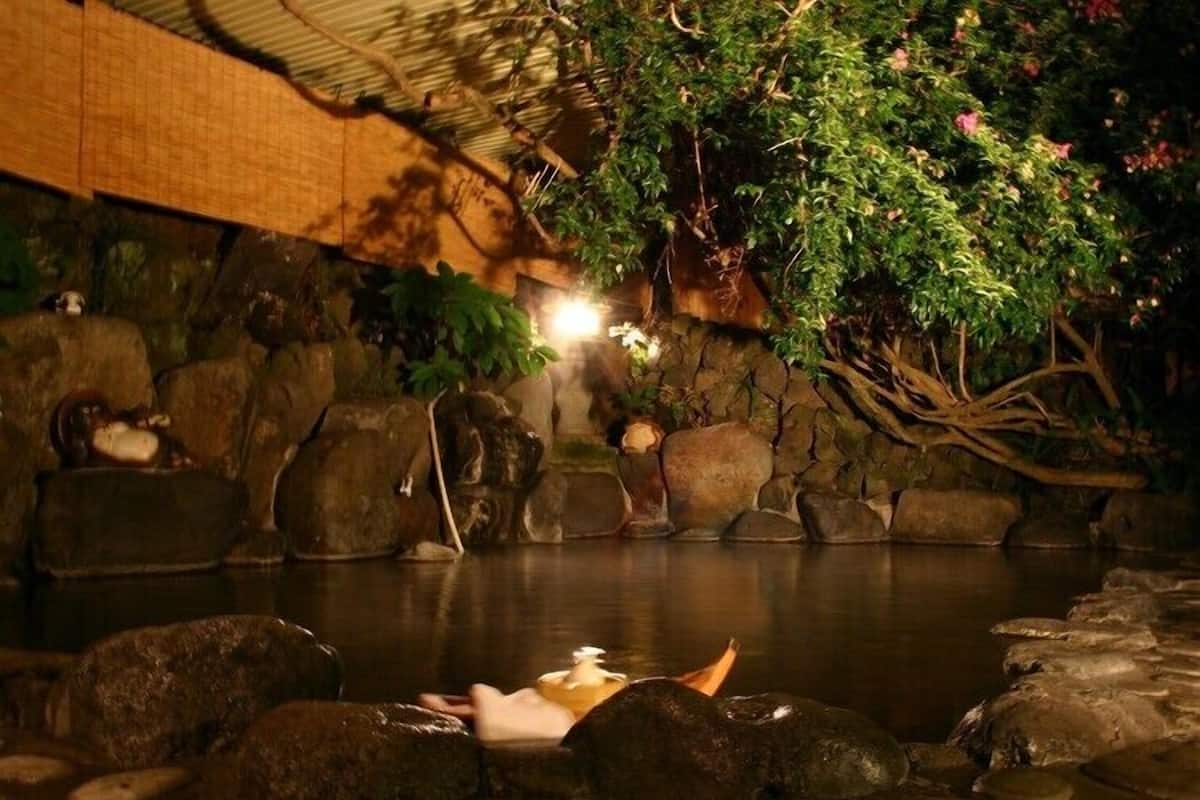 Een rustgevend binnengewoon waterpartij met stenen en planten, een houten constructie erboven en een persoon die ontspant in het water.