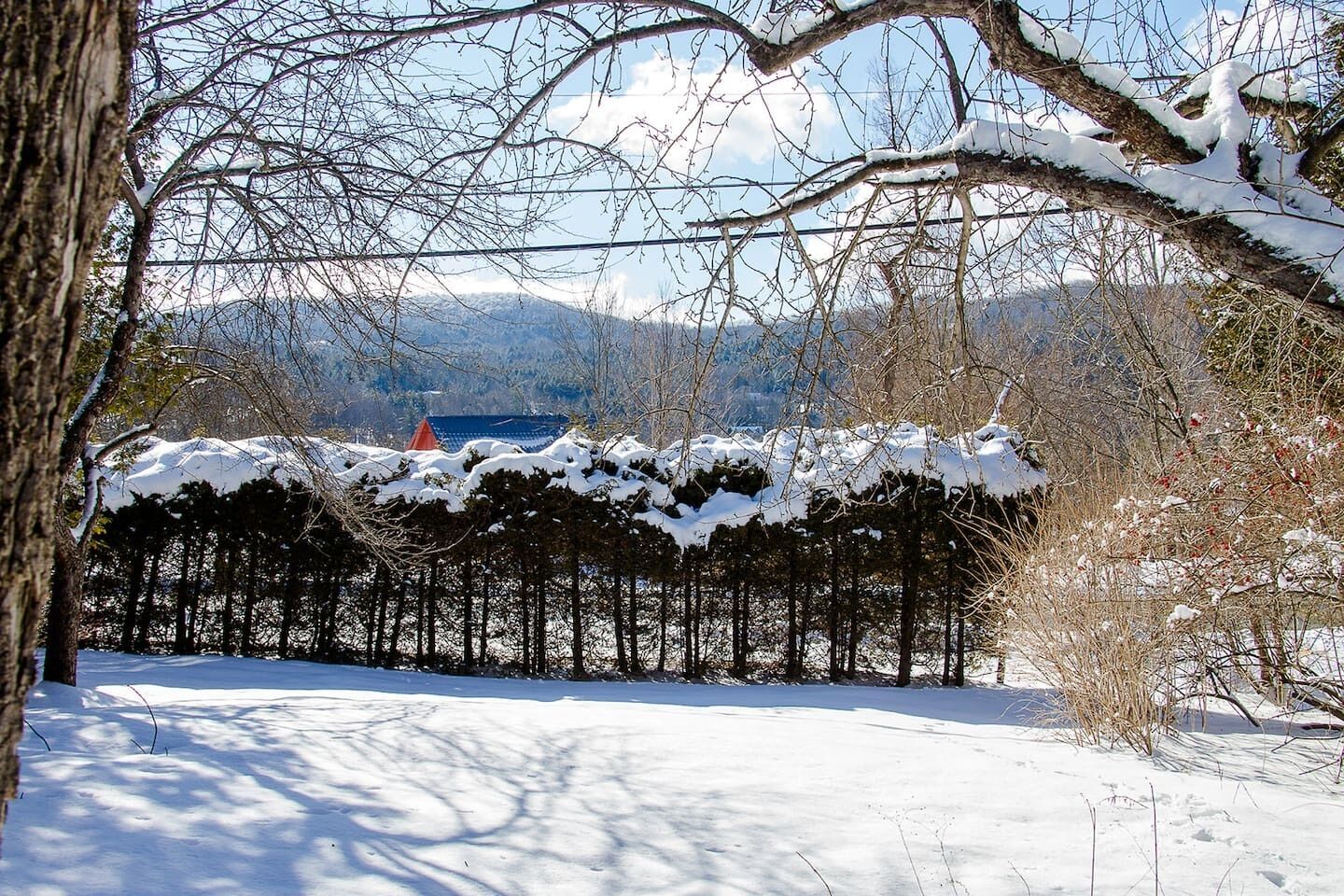 Paisagem coberta de neve com céu claro, área arborizada e vista distante de montanhas.