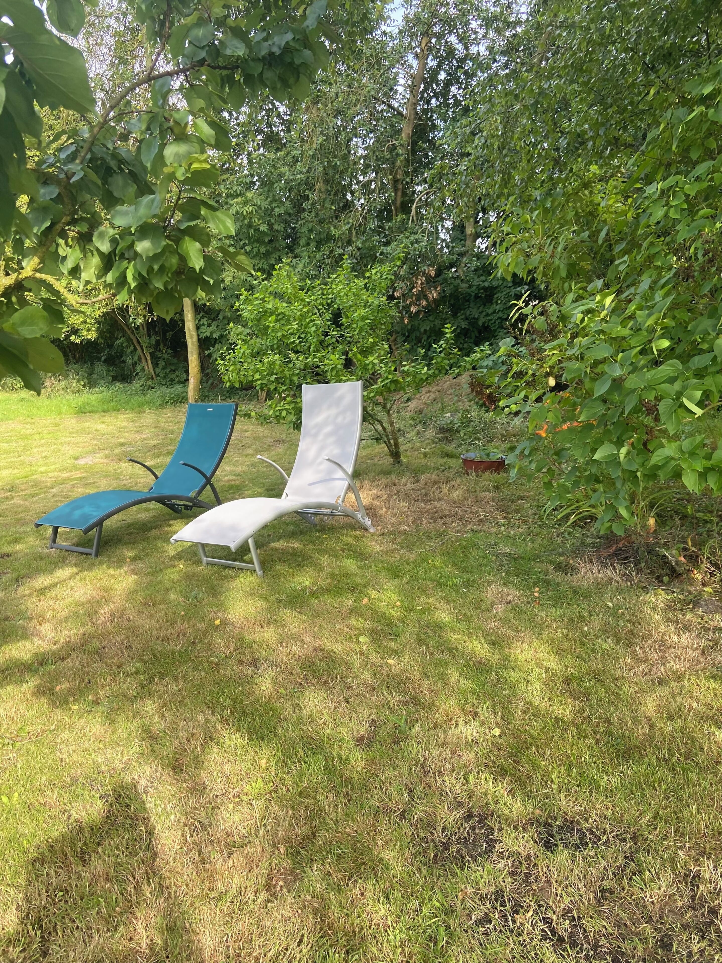 Two lounge chairs in a grassy outdoor area with trees in the background.