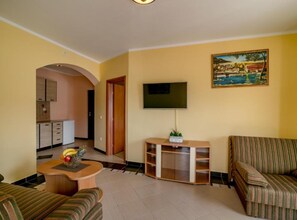 Televisión 
