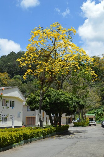 H5 Exceptional Location Near Historic Center