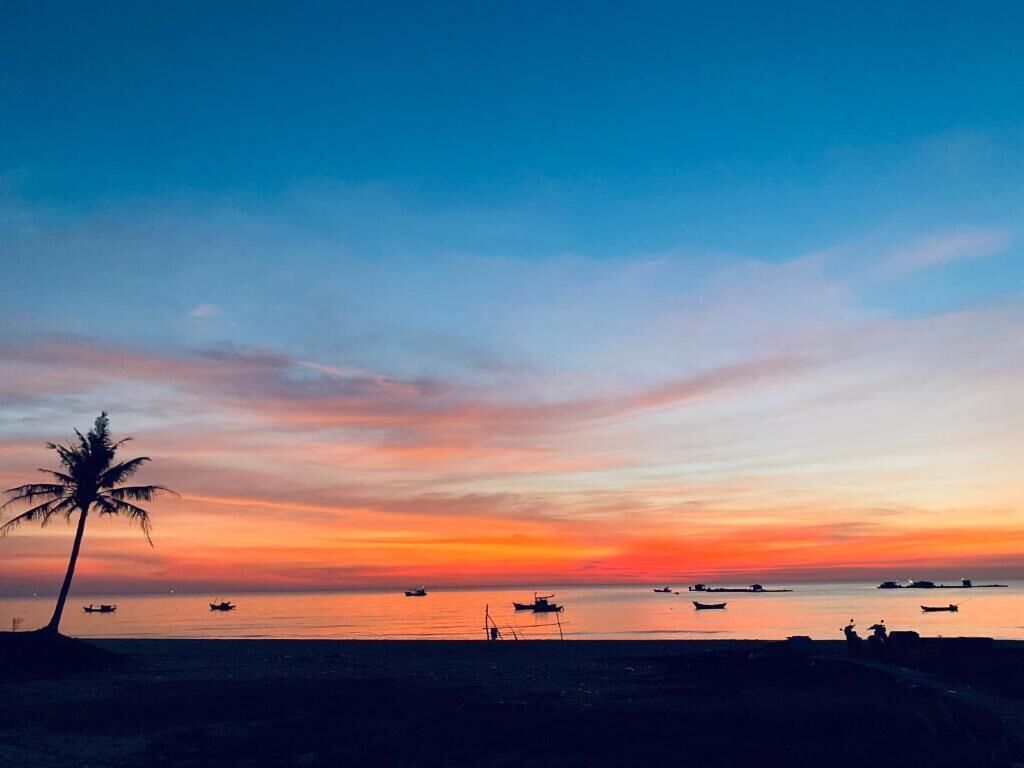 A beach scene with a palm tree, boats, and a sunset.