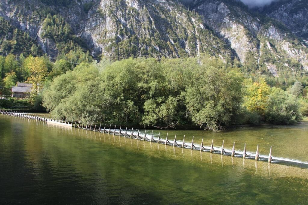 A river with a wooden fence along the bank, surrounded by dense trees and mountains in the background.