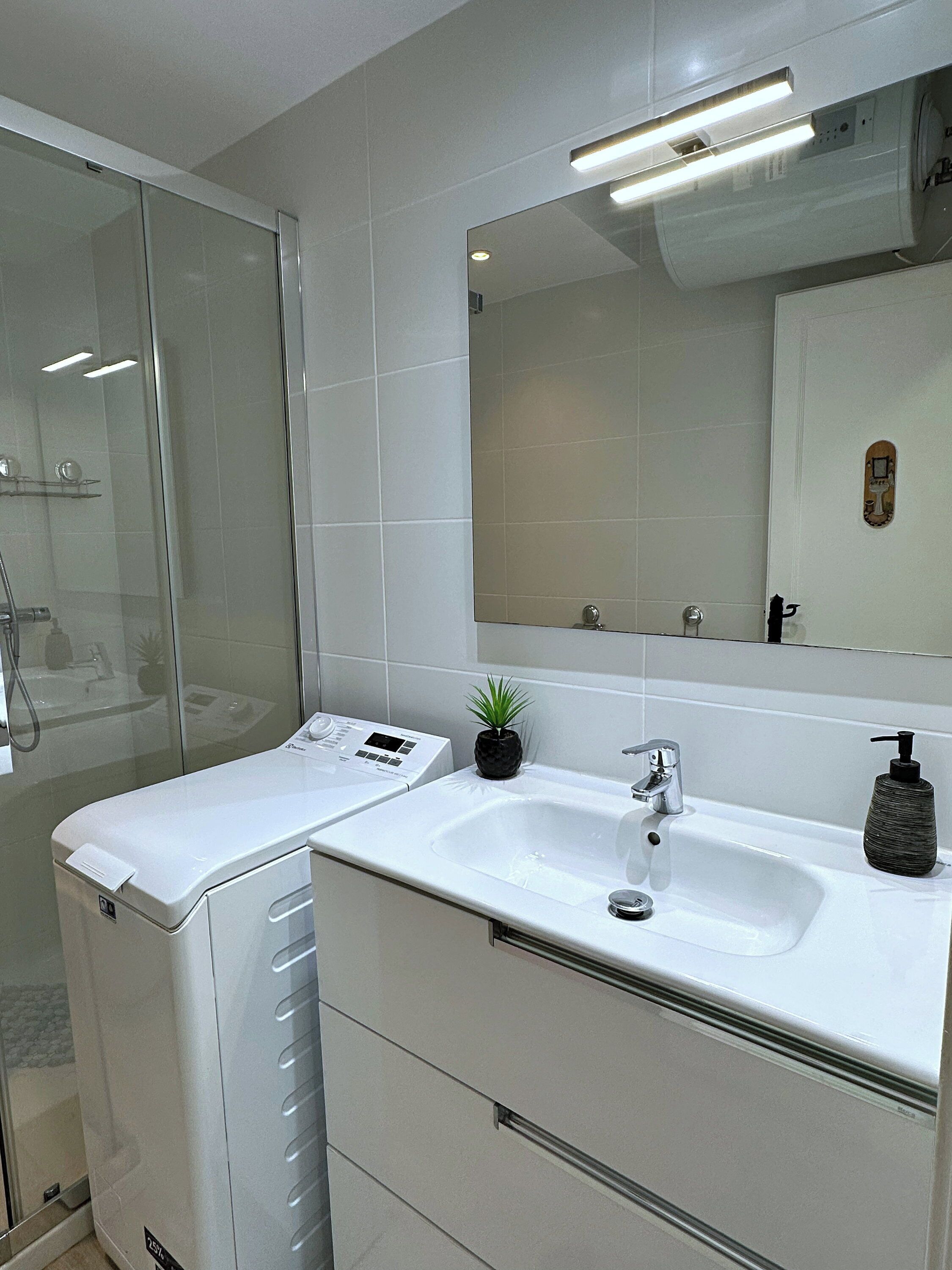 Une salle de bain avec une douche à parois de verre, un lavabo blanc avec un miroir au-dessus, et une petite plante en pot posée sur le comptoir.