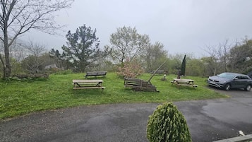Family Apartment, Patio, Courtyard View