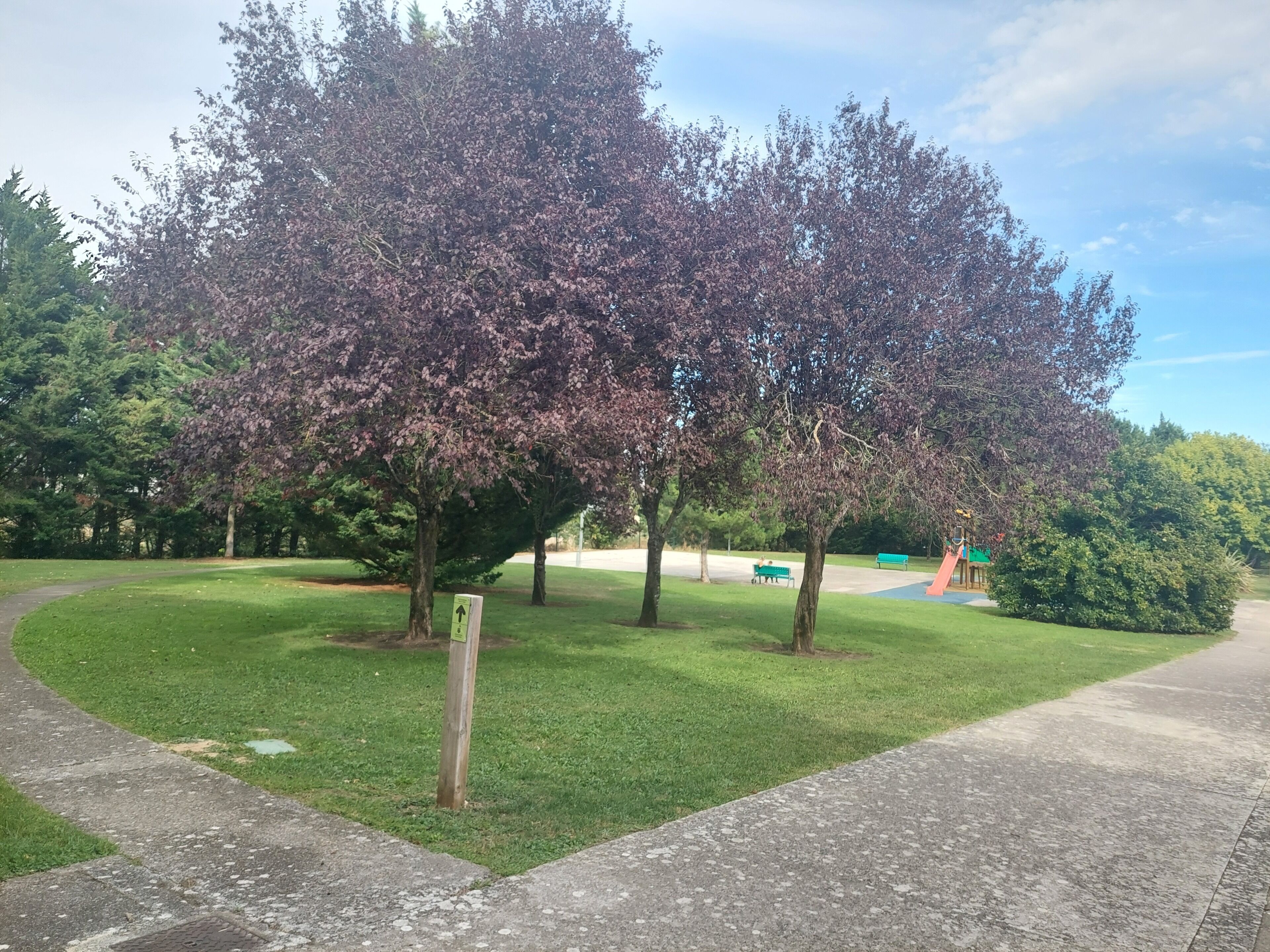 A park with trees, a playground, and a paved path.