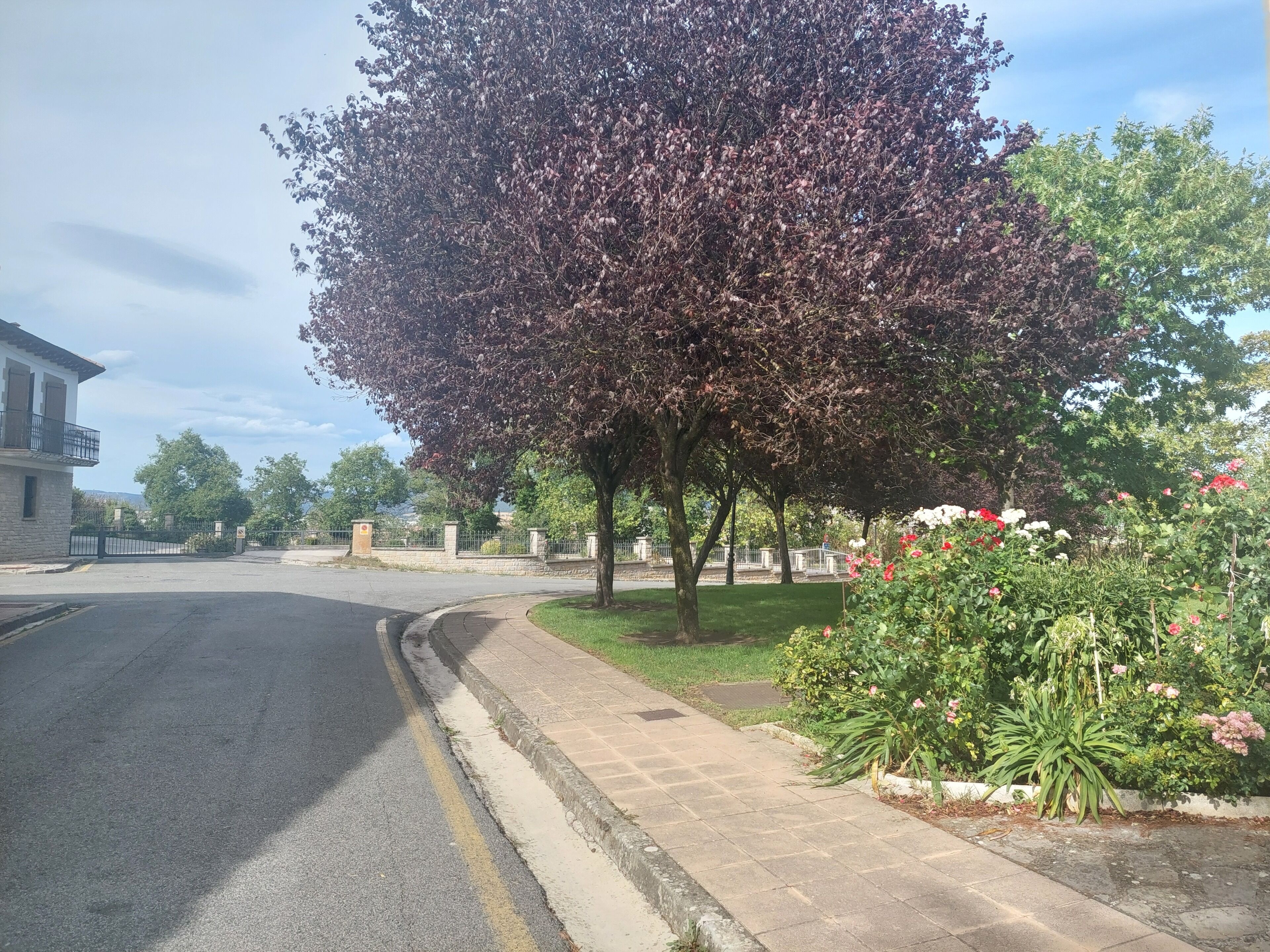 A street with a sidewalk, a tree, and a building with a balcony.