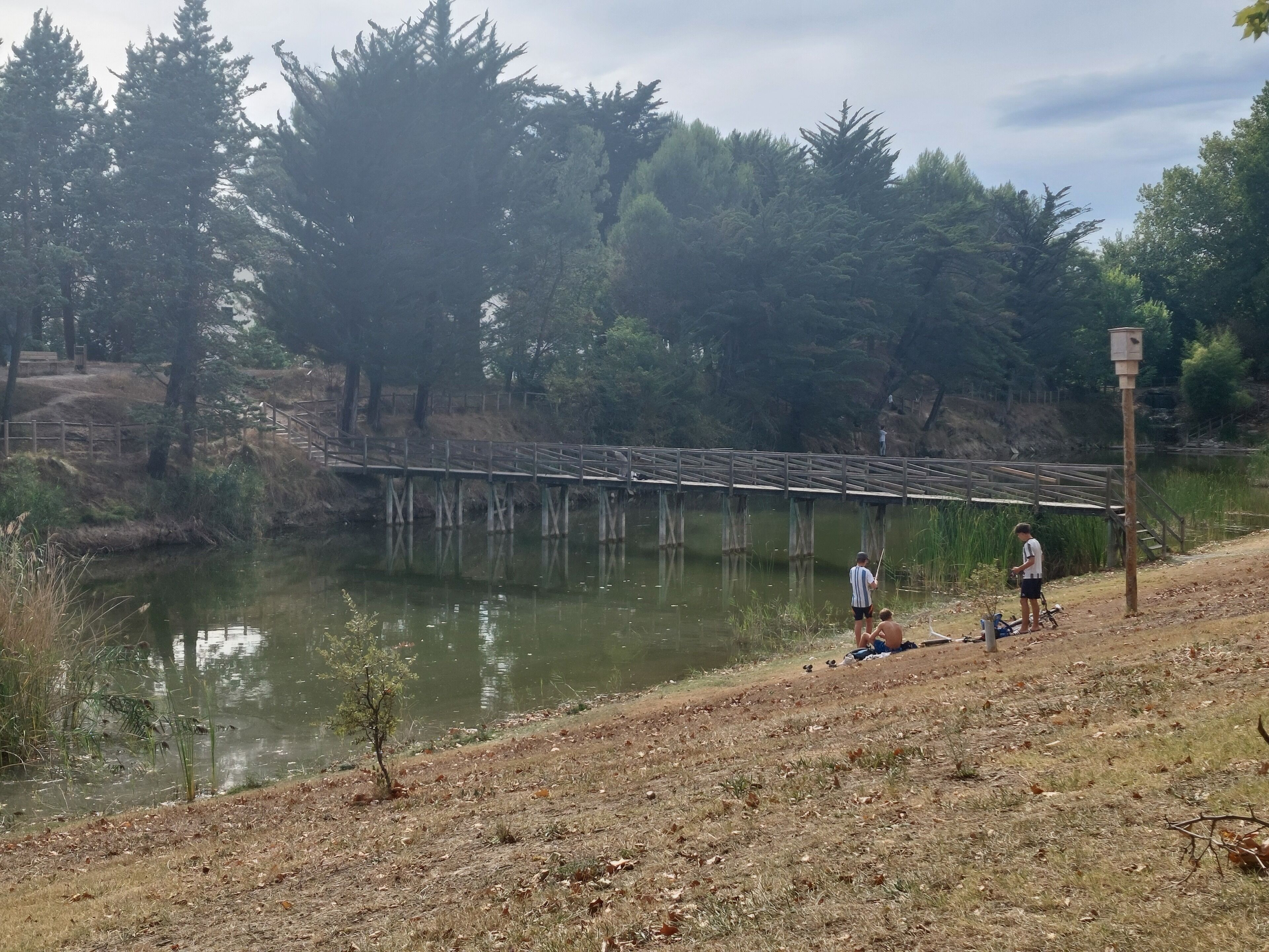 A wooden bridge over a calm body of water, surrounded by trees and a grassy area.