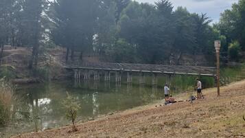 A wooden bridge over a calm body of water, surrounded by trees and a grassy area.