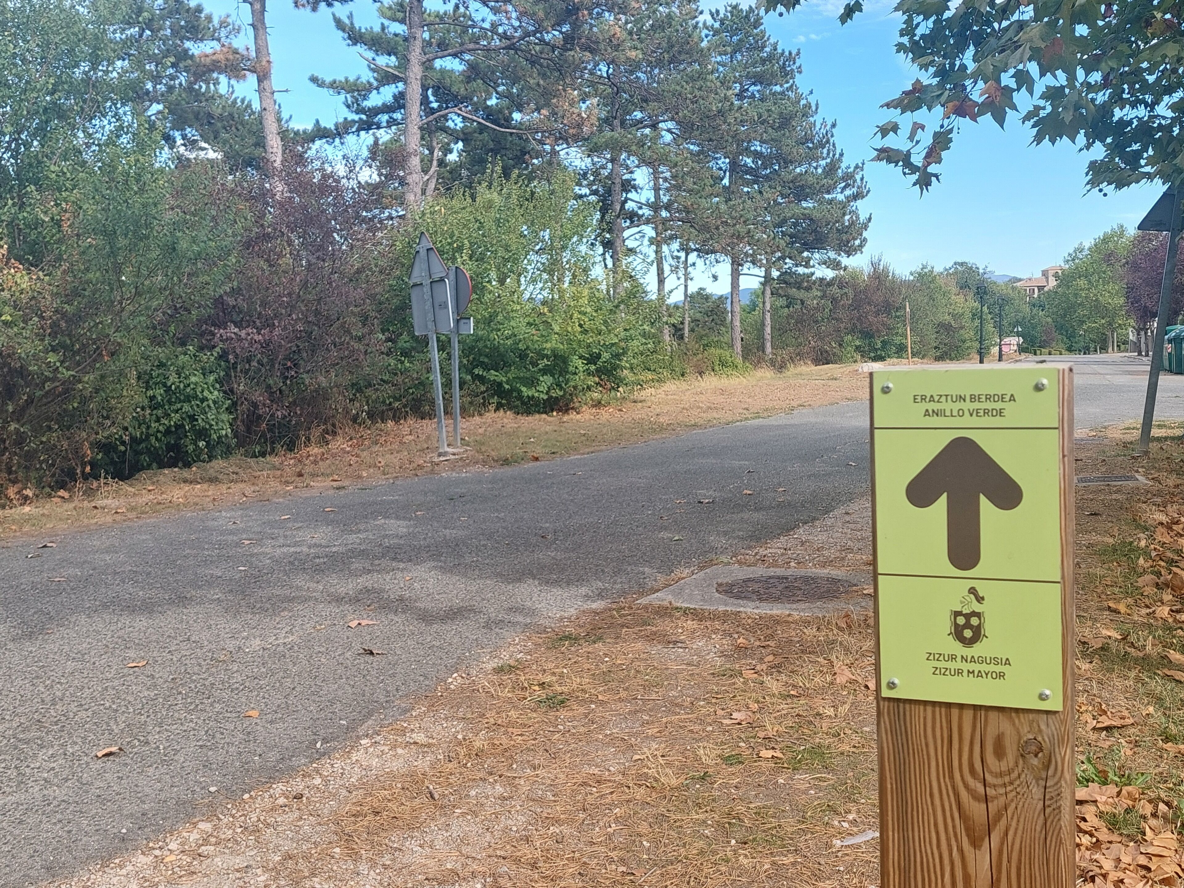 A road sign with an arrow pointing straight ahead, surrounded by trees and a clear sky.
