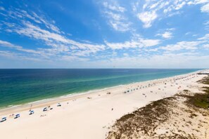 On the beach, sun-loungers - Sealavie Amazing view’s beachfront balconyview beach access large corner balcony (Gulf Shores)