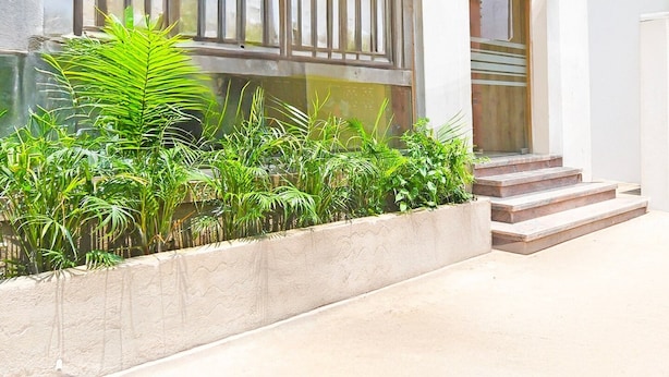 A building with a concrete planter with green plants, a large window with vertical blinds, and a set of stairs leading to a door with a decorative metal frame.