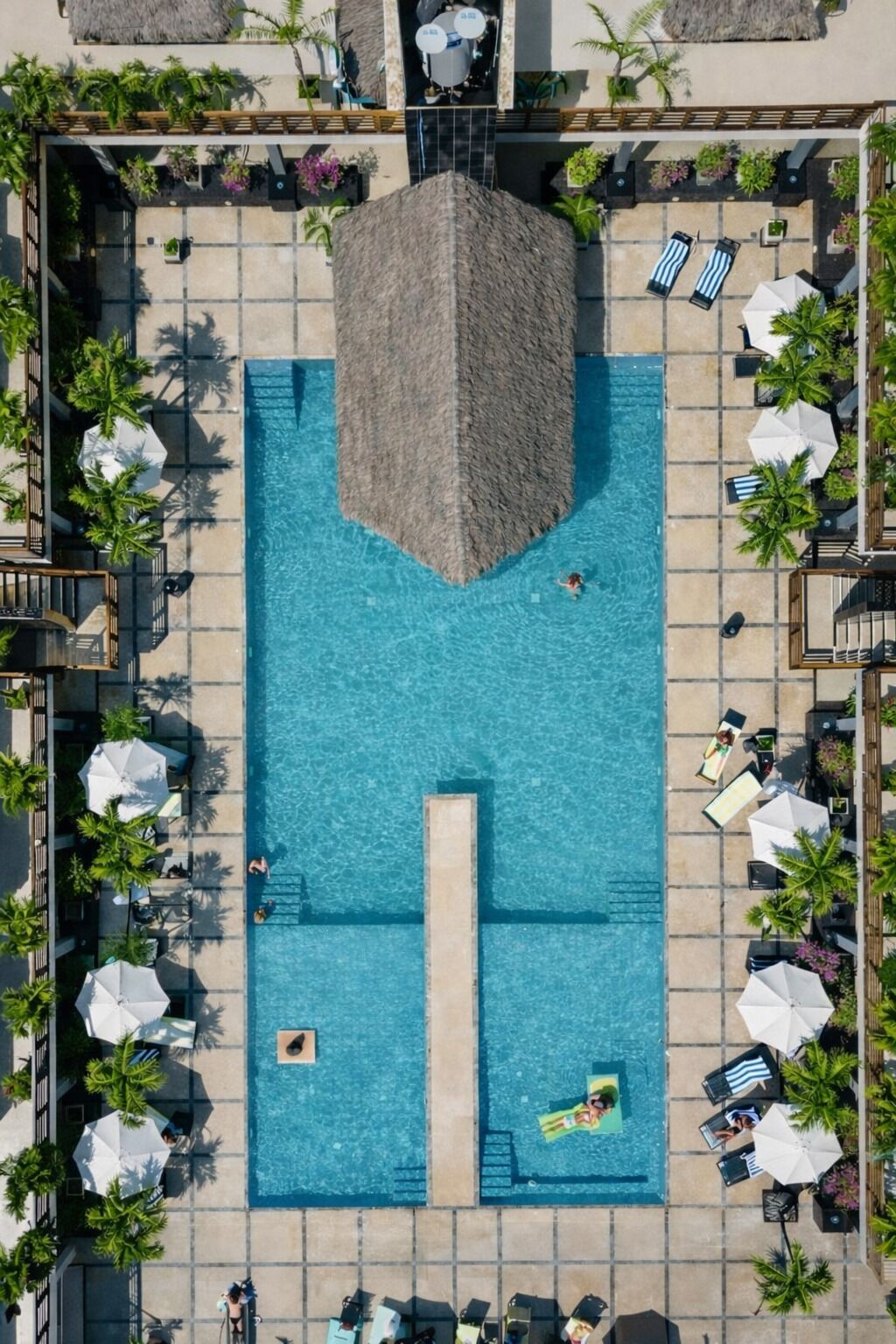 A rooftop pool with a central water slide, surrounded by lounge chairs and umbrellas, and palm trees.