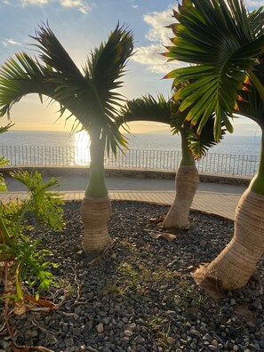 Property grounds -  Luxury 2 bedroom  2 balconies apartment  with sea view and heated communal pool (Playa Paraiso)