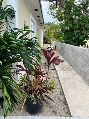 Terrace/patio - Cozy 1-bedroom apartment in terrific Nassau with AC (Nassau)