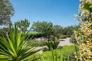 Property grounds - Villa Mare Vista – Private Estate with Heated Pool (Kaštel Kambelovac)