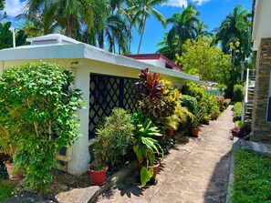 Property grounds - Punta Bonita-Playa Bonita (Las Terrenas)
