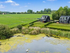 A rural landscape with two houses, a field, and a pond with a swan.