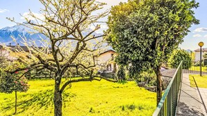 A rural landscape with a tree, a grassy field, and a mountain in the background. - Casa Aldes by Interhome (Gravedona)