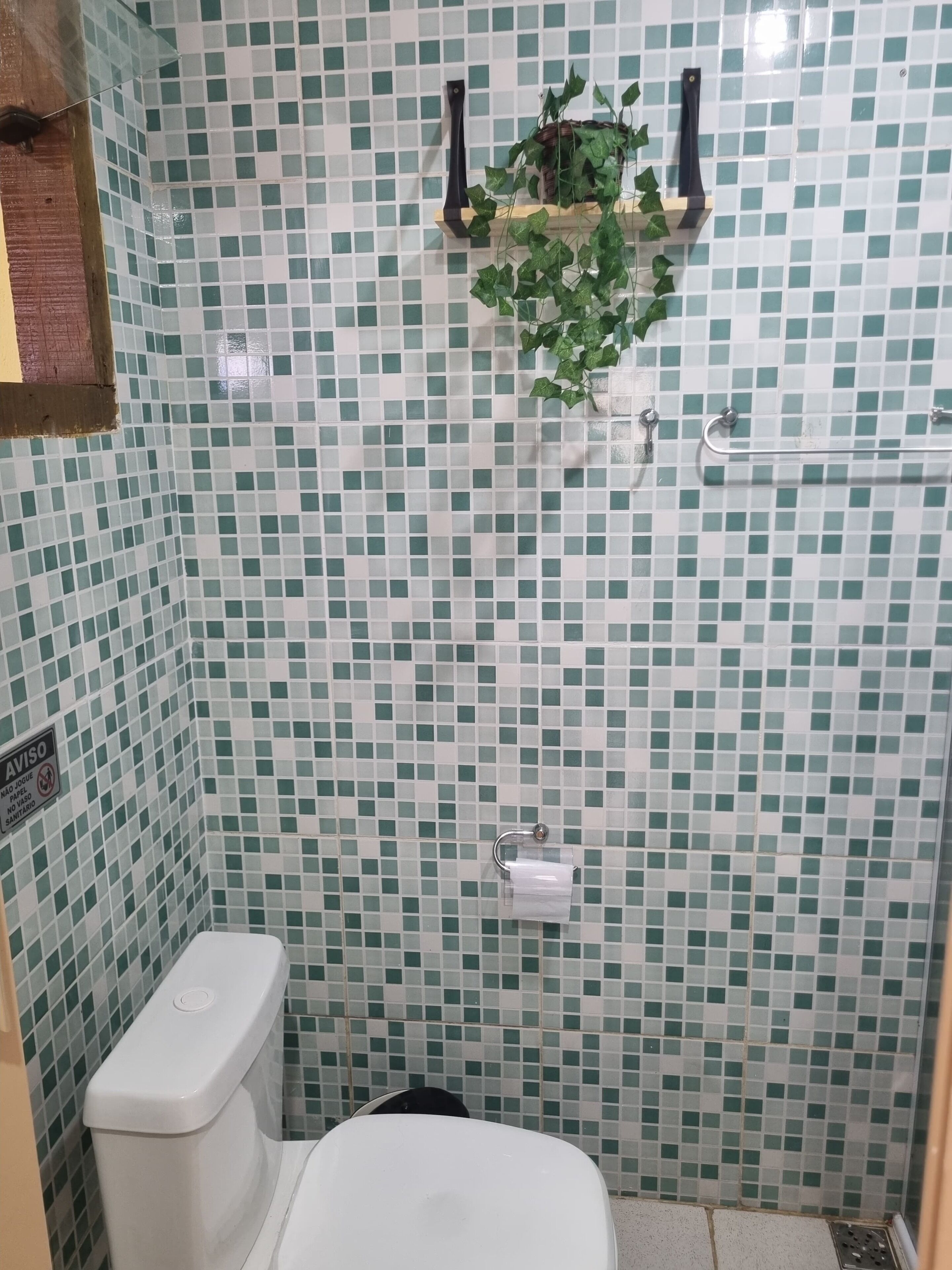 A bathroom with a tiled floor, a toilet, a hanging plant, and a towel rack.
